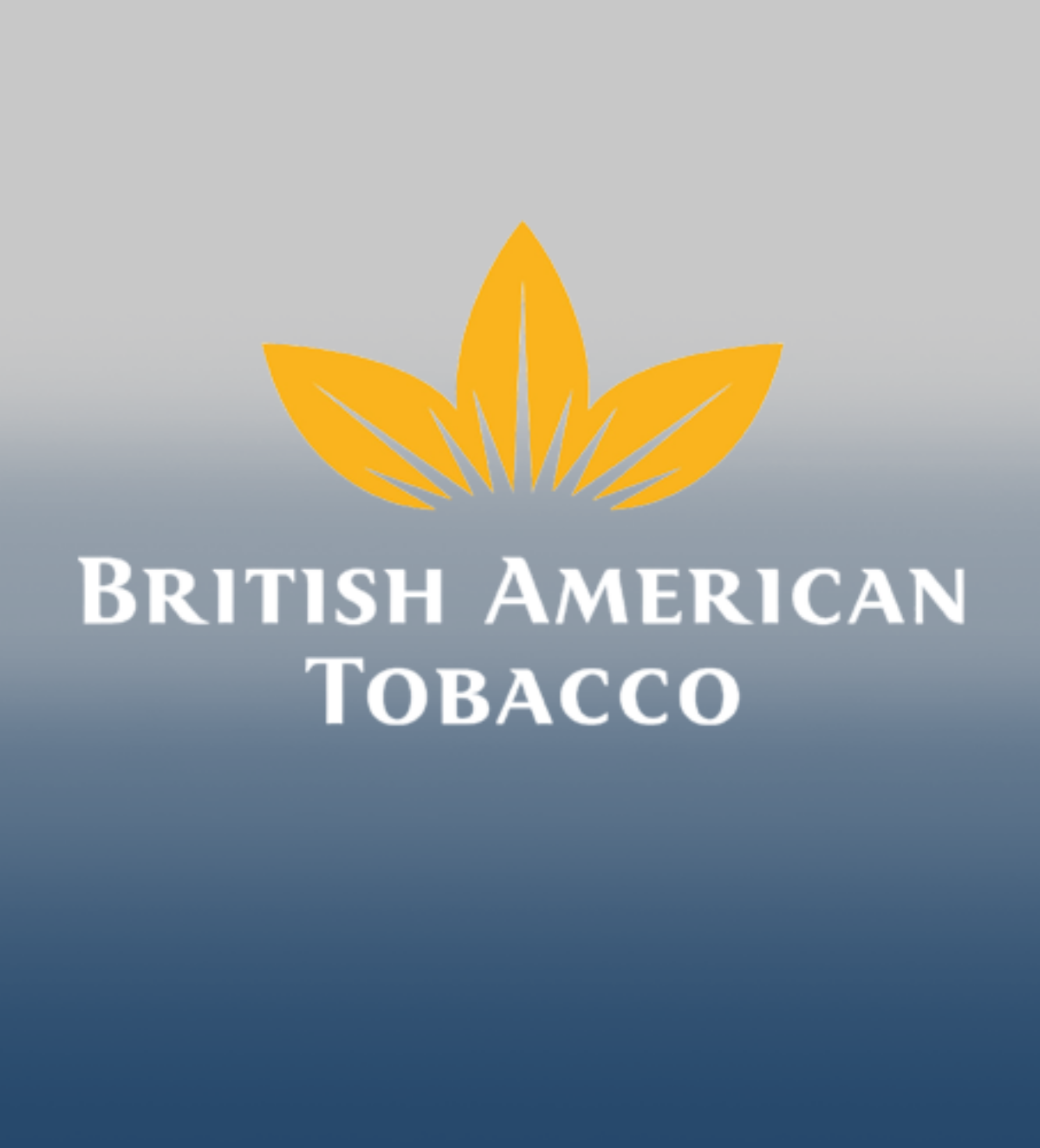 british american tobacco adr British American Tobacco: Debt, disruption and regulation